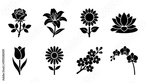 Minimalist black flower icons set, 8 floral silhouette vector elements, botanical rose lily sunflower and lotus symbols for logo design and branding