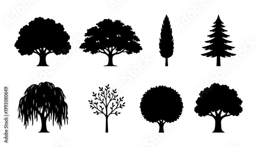 Black tree silhouettes collection, set of 8 forest plant icons. Minimalist nature vector elements, deciduous and evergreen tree shapes for landscape design