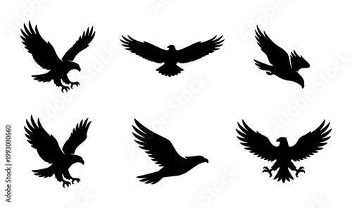 Eagle silhouette vector set, flying hawk and falcon bird icons, black predatory eagle shapes on white background, 6 wild bird of prey elements
