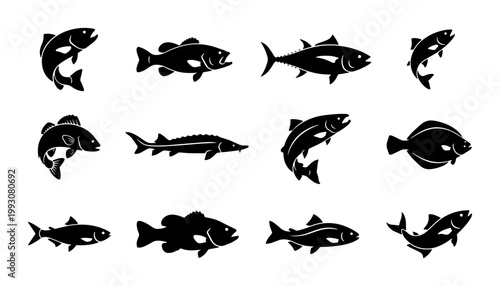 Black fish silhouettes set, 12 aquatic animal icons, minimalist sea life vector collection, fishing and seafood restaurant branding elements