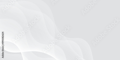 Curtain white wave soft shadow and blurred. frabic shapes curve designs. abstract backround on isolated. Vector Modern