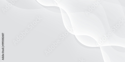 Curtain white wave soft shadow and blurred. frabic shapes curve designs. abstract backround on isolated. Vector Modern