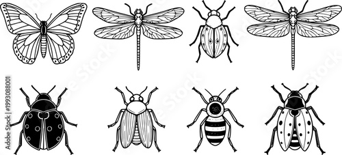 Flat design decorative insect icon set six silhouettes butterfly dragonfly ladybug moth bee simple isolated black vector minimalist lineart collection
