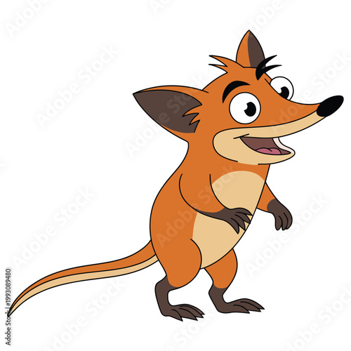 bandicoot