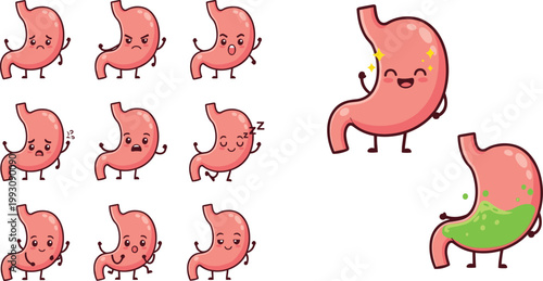 Cute Cartoon Human Stomach Character Vector Illustration Set Featuring Various Emotions Healthy Sick Happy Angry and Digestive Problem Expressions for Medical and Health Design