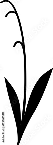 A stunning close-up of a single, elegant white Lily of the Valley bell-shaped floret, showcasing its intricate structure against a pristine white background