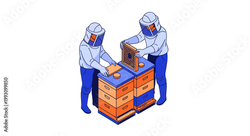 Two beekeepers in protective suits working at an apiary with beehives.