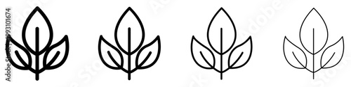 Set of plant icons with three leaves on a single stem. Graphic elements with different line weights, symbolizing growth, nature, ecology, and organic products. Vector illustration.
