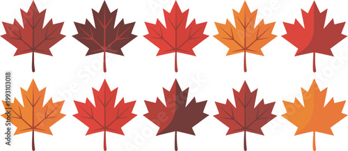 Group of ten stylized maple leaves in warm autumnal colors isolated on transparent background