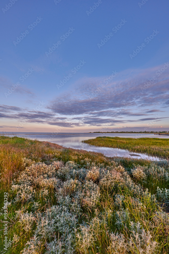 Fototapeta premium Landscape, sky and plants with ocean in nature for travel destination, eco tourism and scenery. Space, grass and wetland in natural environment, vacation getaway and holiday location with seascape