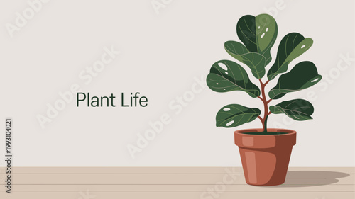 Stylized illustration of a healthy green plant growing in a terracotta pot indoors