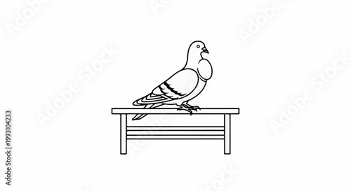 A simple line drawing shows a pigeon perched atop a wooden bench