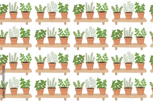 Seamless pattern with potted herbs on wooden shelves. Background with fresh basil, rosemary, parsley, oregano, dill and mint. 