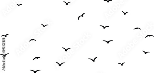 Black silhouette of a flock of birds flying in the sky isolated on a white background for graphic design and nature projects layout