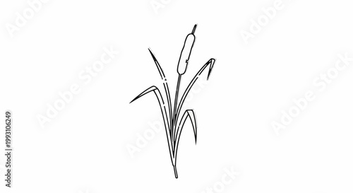 Stylized black and white line drawing of a cattail plant with leaves