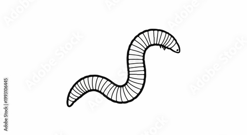 Simple black and white outline drawing of a segmented worm on a white background