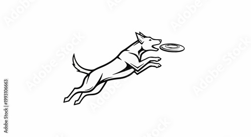 Energetic dog leaping in mid-air to catch a frisbee
