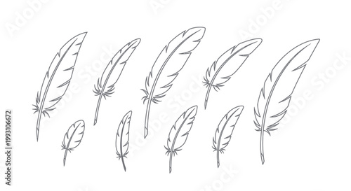 Collection of feather line art illustrations