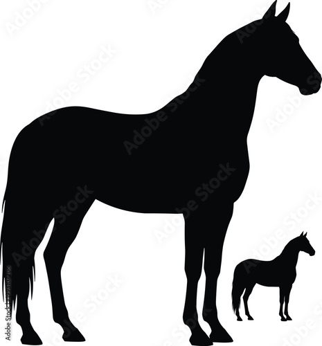 Elegant black horse silhouette vector illustration featuring a side view profile of a standing stallion and mare isolated on white background for equestrian sports farm nature 