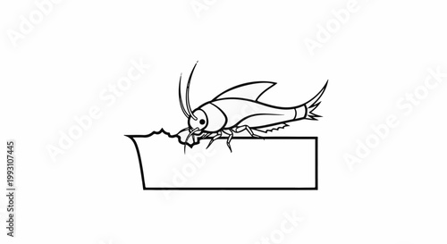 Line art of a fish-like insect nibbling a torn paper tag