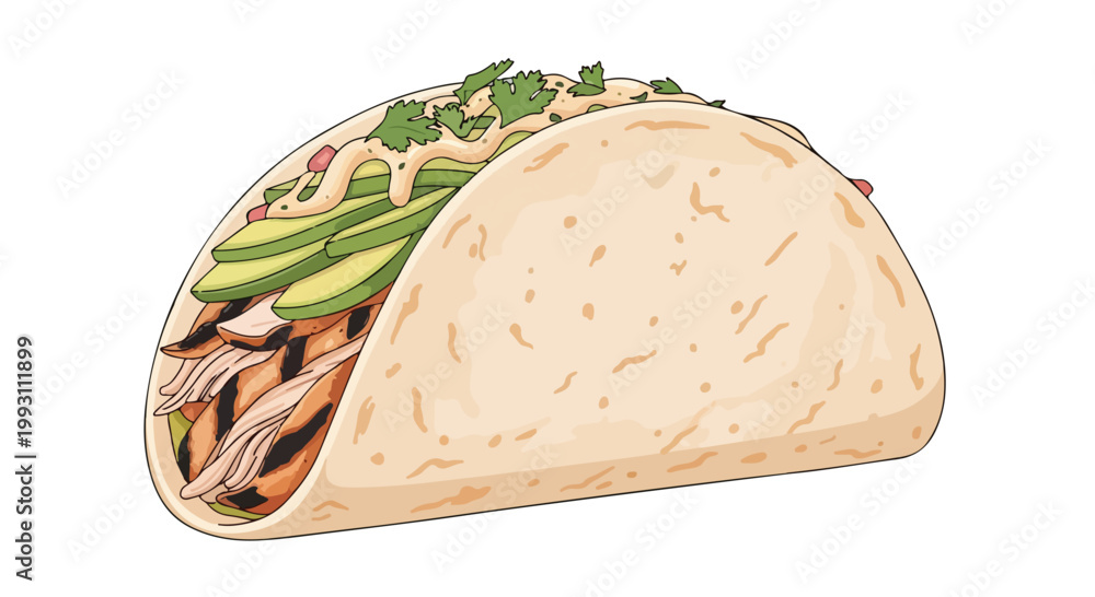 Fototapeta premium Hand drawn illustration of a delicious chicken taco with avocado and cilantro.