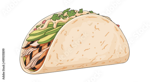 Hand drawn illustration of a delicious chicken taco with avocado and cilantro.