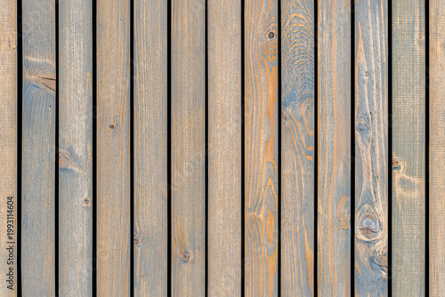 Wainscoting seamless texture made of thin gray-toned pine timber planks provides textured backdrop for design extreme close view