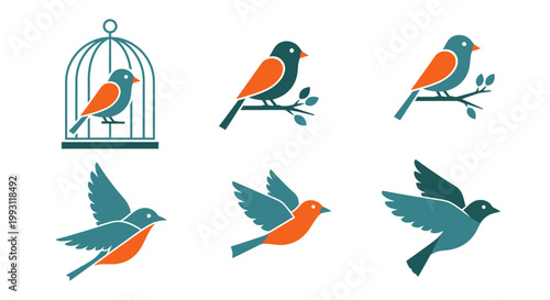 Birds in various flying positions.