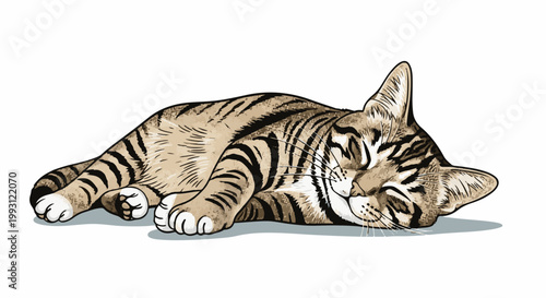 Detailed illustration of a tabby cat peacefully sleeping on its side
