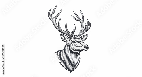 Detailed line art sketch of a majestic stag's head with large antlers, facing right