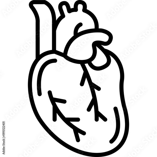 Heart Vector Icon