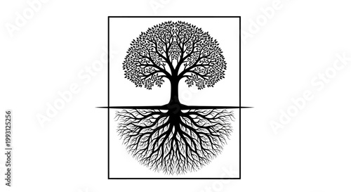 Striking black and white tree silhouette with prominent roots and dense canopy.