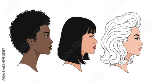 Illustration of three diverse women profile portraits with different hairstyles.