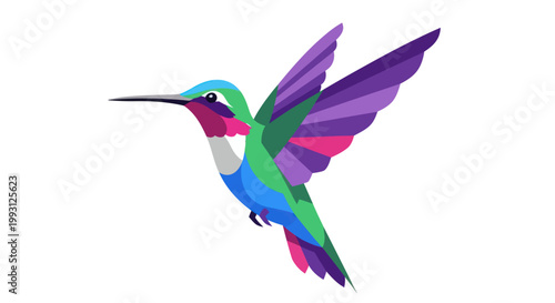 Colorful hummingbird illustration in flight isolated on white background
