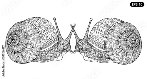 Mirrored Snail Shell Pattern Coloring Book Vector Illustration