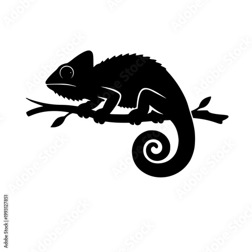 Black Chameleon Silhouette on Branch