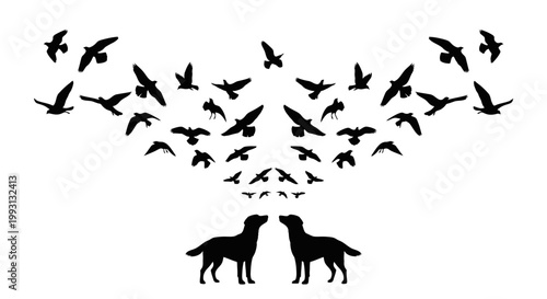 Two dogs look up at a flock of birds in silhouette