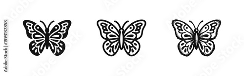 Butterfly Insect Icon Set - Nature Beauty Symbols in Solid Outline and Hand Drawn Styles