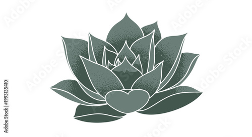 Stylized succulent plant with heart symbol on white background.