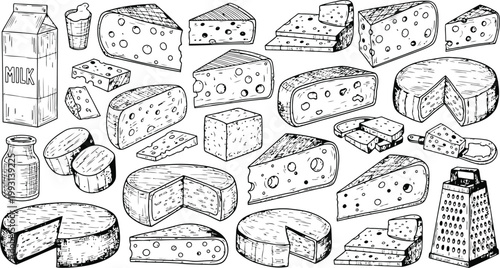 Assortment of Hand Drawn Cheese Varieties and Dairy Products in Line Art Style