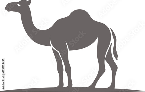 Gray camel standing alone in desert landscape profile view