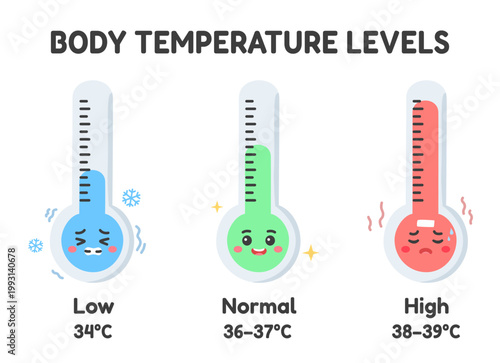 Body temperature levels with thermometer characters showing low, normal and high ranges. Healthcare and fever concept. Cute flat vector illustration