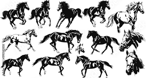 Dynamic horse poses in an antique engraving style with detailed linework for illustrative projects