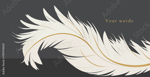 Elegant White Feather with Gold Accent on Dark Background