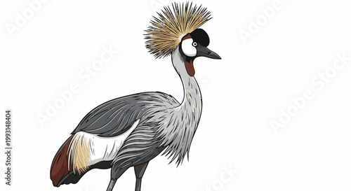 A crowned crane with an elaborate golden headpiece and grey plumage