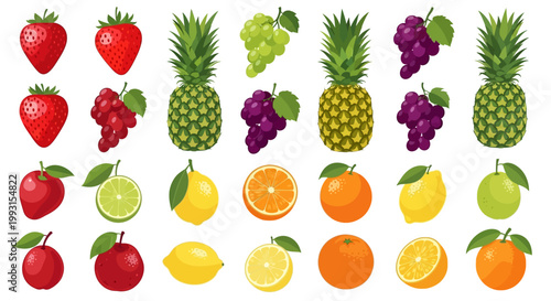 Colorful Assortment of Fresh Fruits Illustration