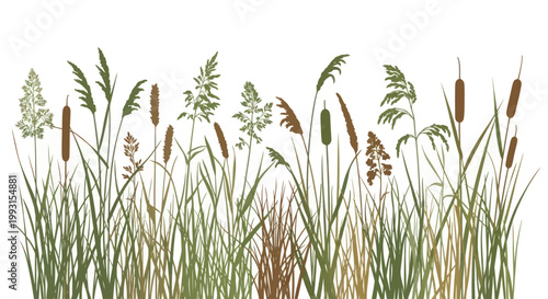 Diverse wild grass and wetland plant silhouettes forming a natural border.