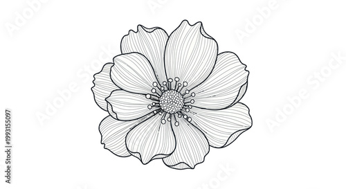 Black and white flower line art illustration on a white background