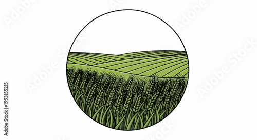 Lush green wheat fields rolling across gentle hills, framed by a circle