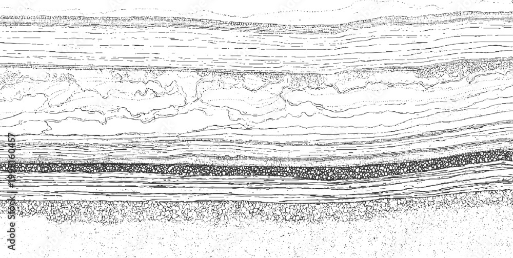 Obraz premium Detailed black and white line of geological strata showing distinct layers of sediment and rock formations